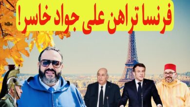كبير الجزائر