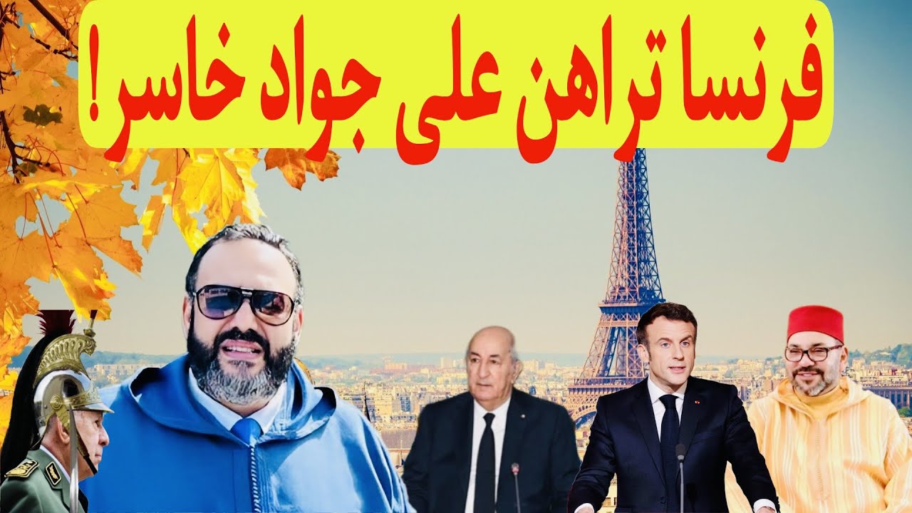 كبير الجزائر