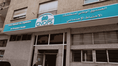 كنوبس