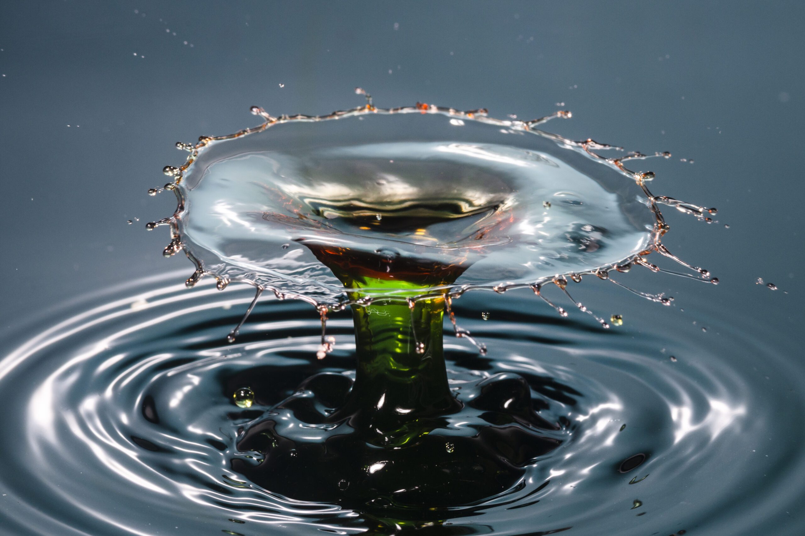 belle nature morte eau scaled