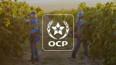 ocp 1