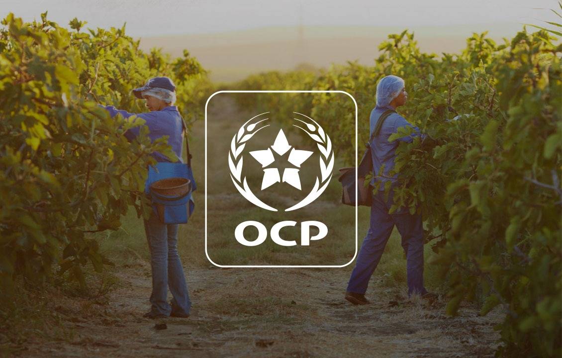 ocp 1