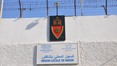 الناظور