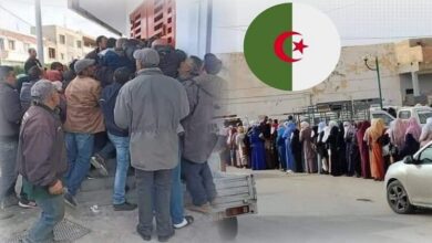 بالجزائر