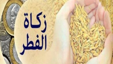 الفطر