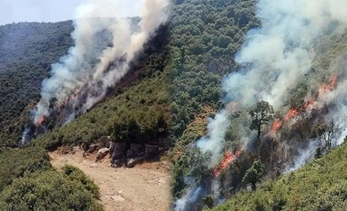 اندلاع حريق كبير في الغطاء الغابوي لجبل "إفرطن" ضواحي شفشاون 1 حريق شفشاون 2
