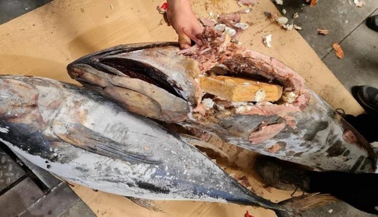 الأمن والجمارك يُحبطان تهريب شحنات كبيرة من الكوكايين بميناء طنجة كانت مدسوسة داخل شحنة من السمك المجمد 1 كوكايين
