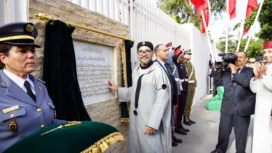 نشاط ملكي جديد