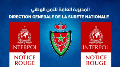 أمر دولي