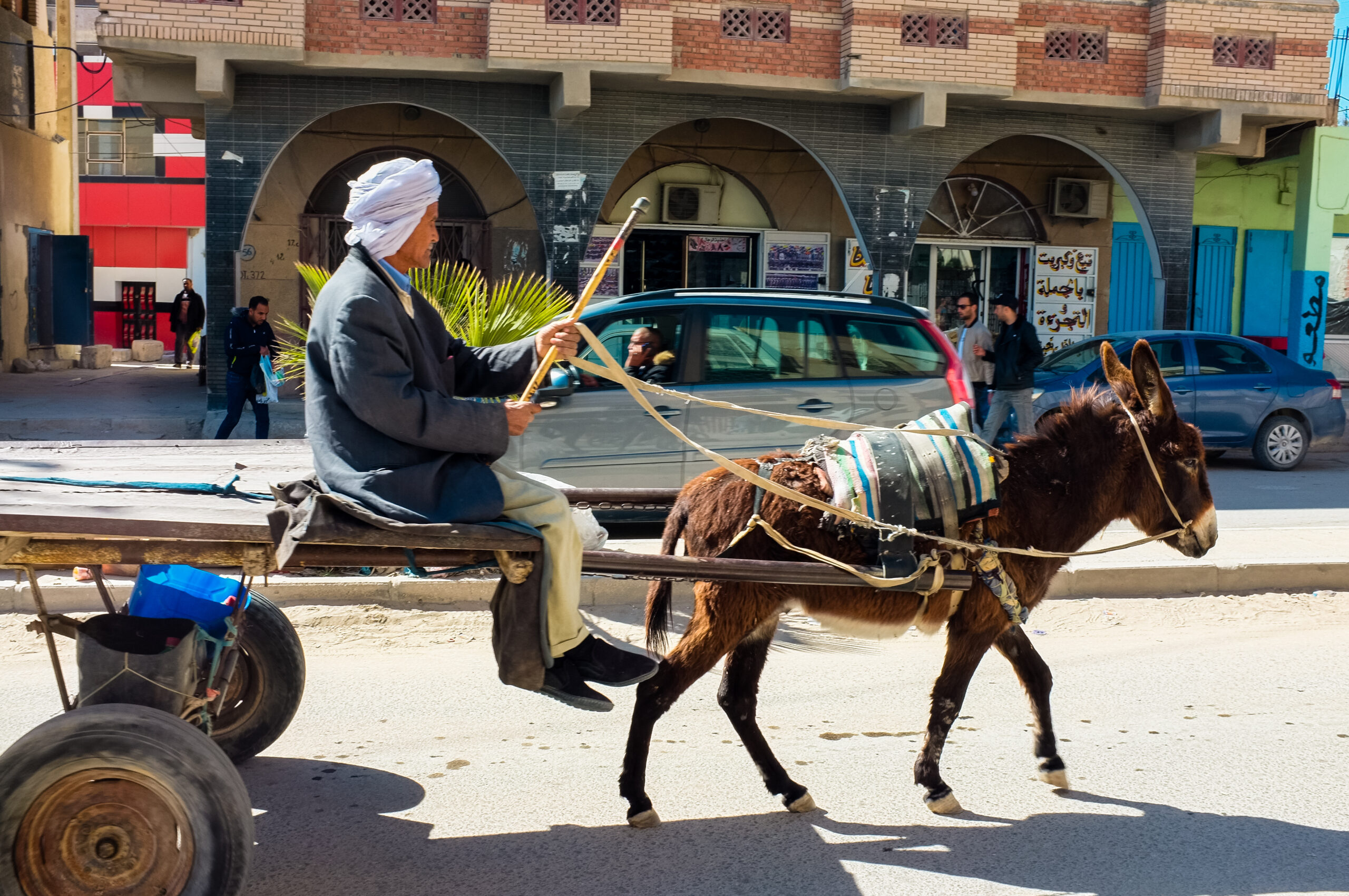 العربات المجرورة الرباط