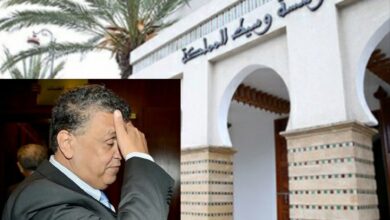 مهنة المحاماة