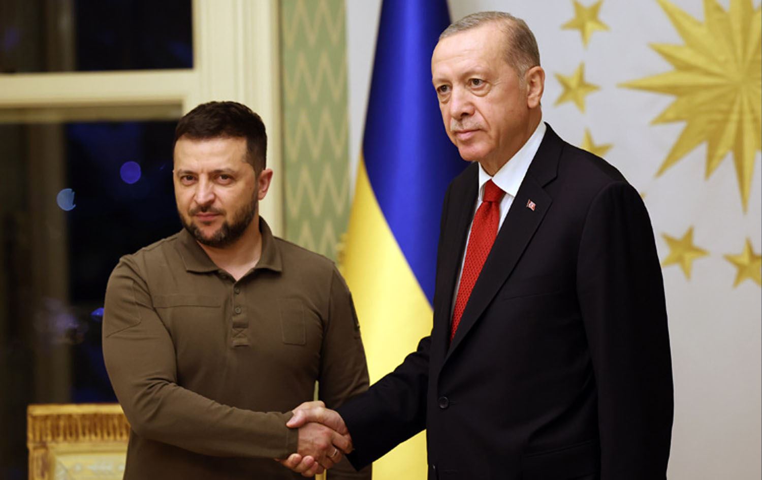 أردوغان زيلينسكي