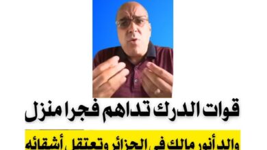 أنور مالك