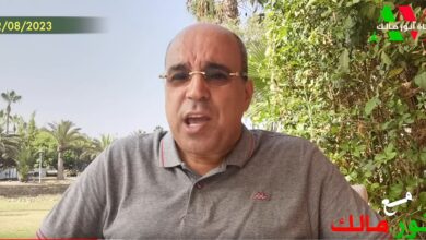 أنور مالك