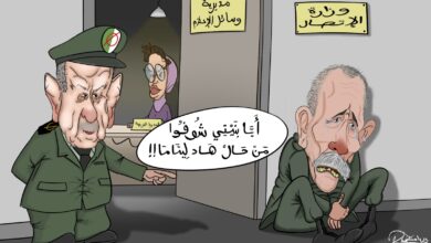 الجزائر البوليساريو
