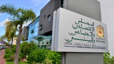 المجلس الاقتصادي والاجتماعي والبيئي