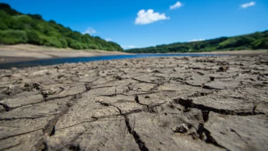بوليفيا ..إعلان حالة الطوارئ بسبب الجفاف وسط البلاد