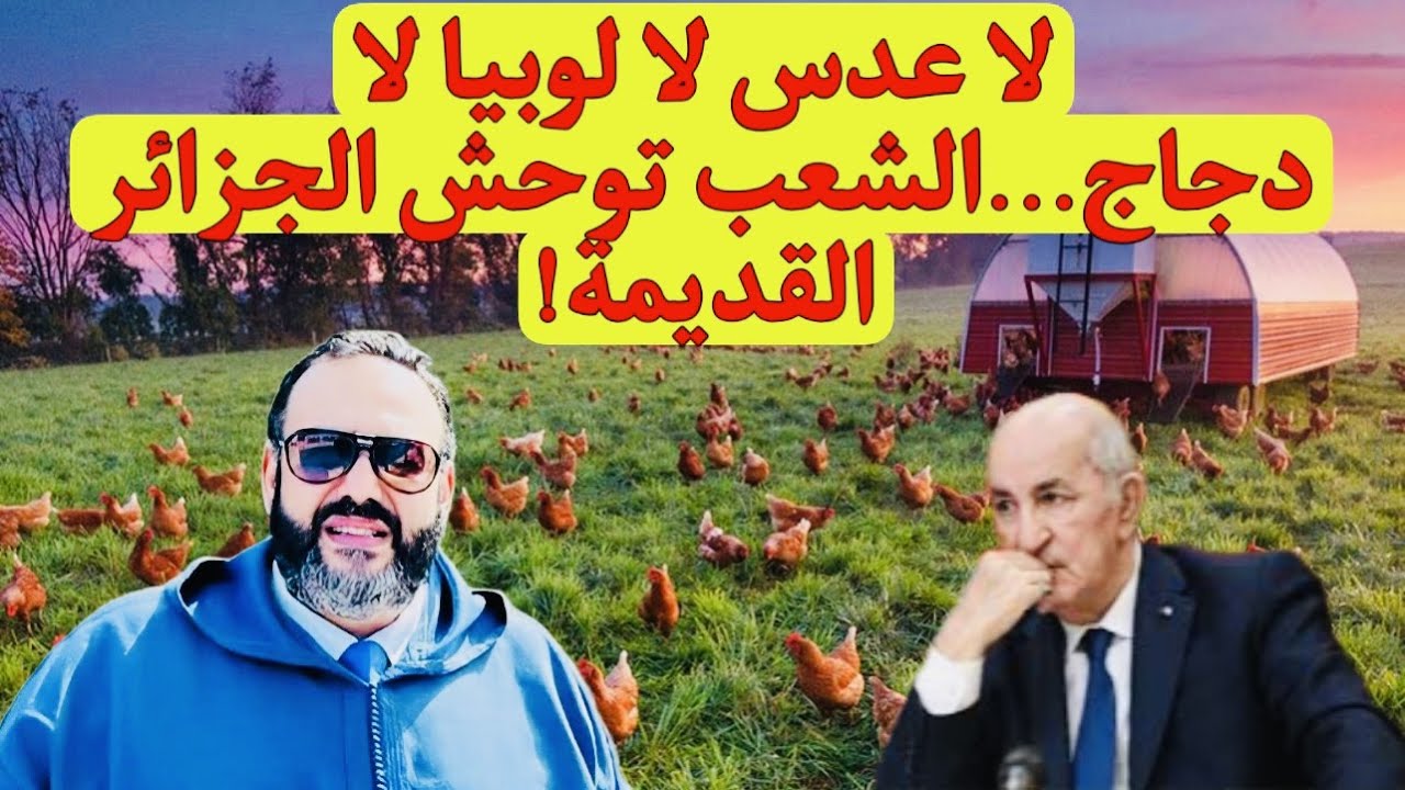 وليد كبير: الجزائر بلد الثروات لا يستطيع توفير الدجاج للمواطن.. ونظام الكابرانات يتعرض لإذلال كبير بسبب كأس افريقيا ! (فيديو) 1 وليد كبير