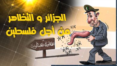 الجزائر والقضية الفلسطينية