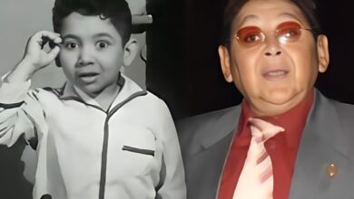 الفنان أحمد فرحات