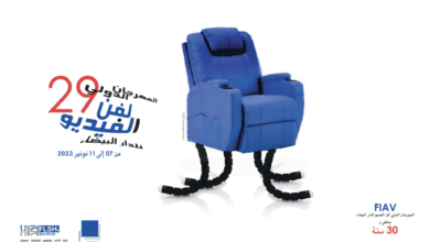 النسخة 29 للمهرجان الدولي لفن الفيديو