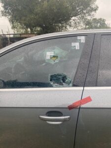عادل الدغوغي عادل الدغوغي