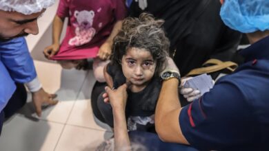 منظمة الصحة العالمية فلسطين
