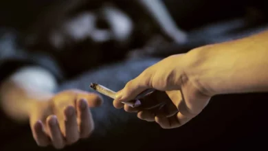 المخدرات كوبا