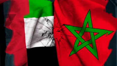 الجزائر المغرب الإمارات