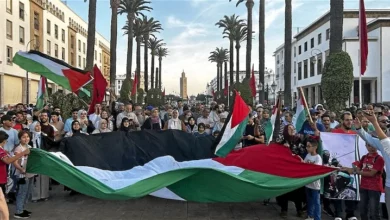 المغرب الجزائر فلسطين هشام عبود