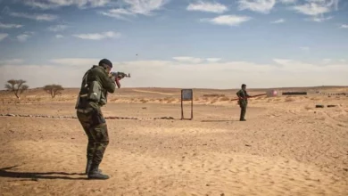 صور المرتزقة