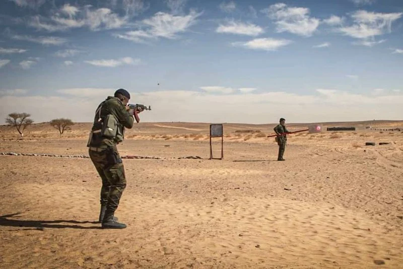 صور المرتزقة