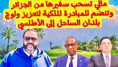 وليد كبير
