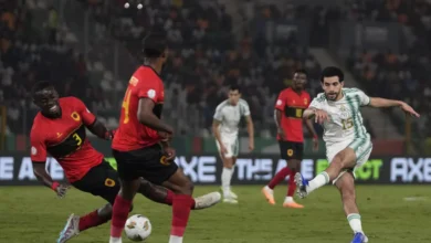 الجزائر أنغولا
