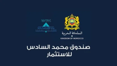 صندوق محمد السادس للاستثمار 780x470