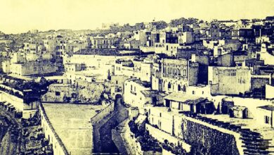 مائوية طنجة الدولية