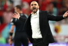 وليد الركراكي