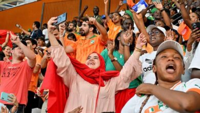 ivory maroc fans