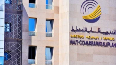 الإحصاء العام للسكان والسكنى 2024 ..