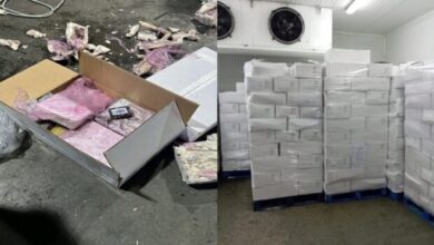 مخدرات
