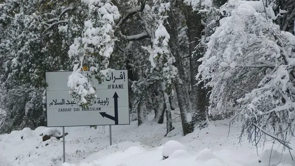 مقاييس التساقطات الثلجية
