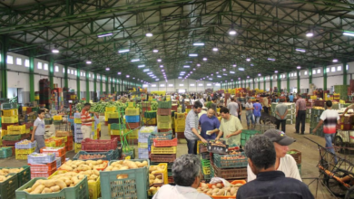 سوق الخضر والفواكه بالمغرب