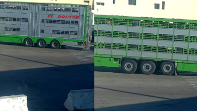 ميناء طنجة المتوسط
