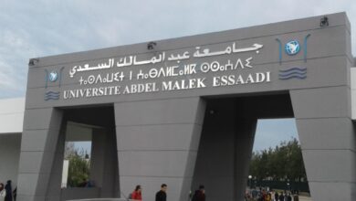 جامعة عبد المالك السعدي