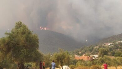 حريق العرائش