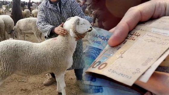بمناسبة عيد الأضحى.. الحكومة تقرر صرف الرواتب بصفة استثنائية في هذا التاريخ 1 عيد الأضحى