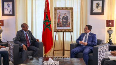 ناصر بوريطة