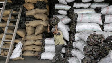 ارتفاع أسعار مادة الفاخر