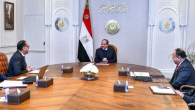 الحكومة المصرية