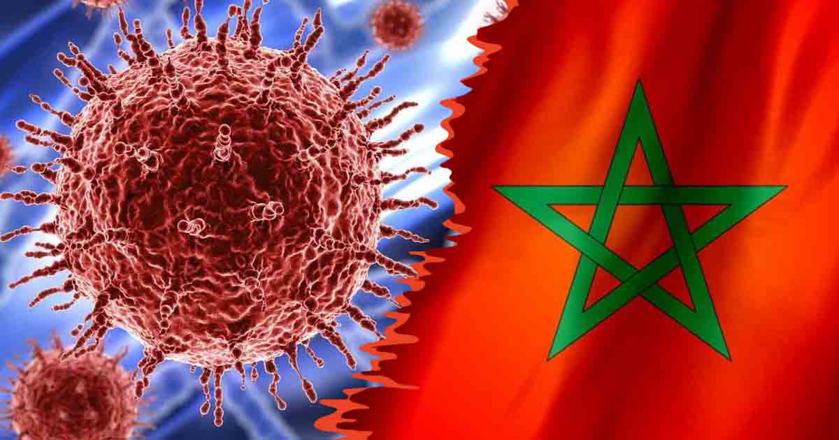 النشرة الأسبوعية: تسجيل إصابة واحدة جديدة بـ "كوفيد-19" 1 corona virus